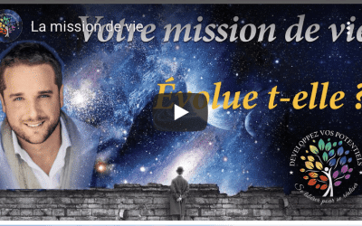 La mission de vie